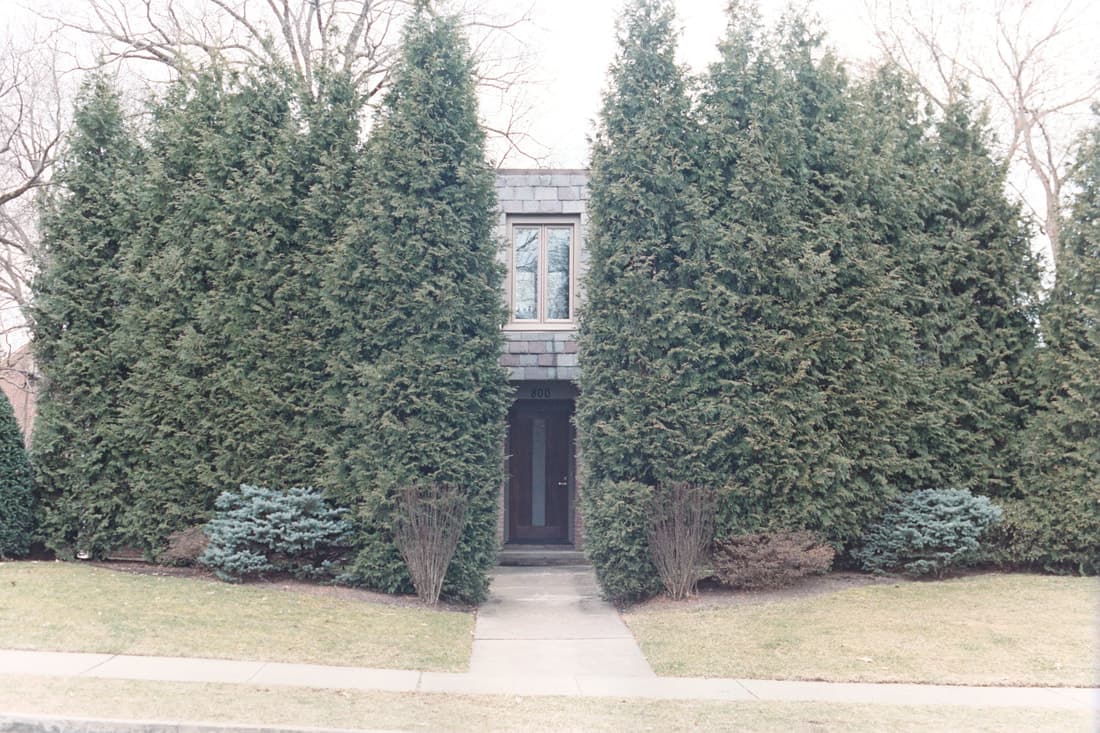Film. 37