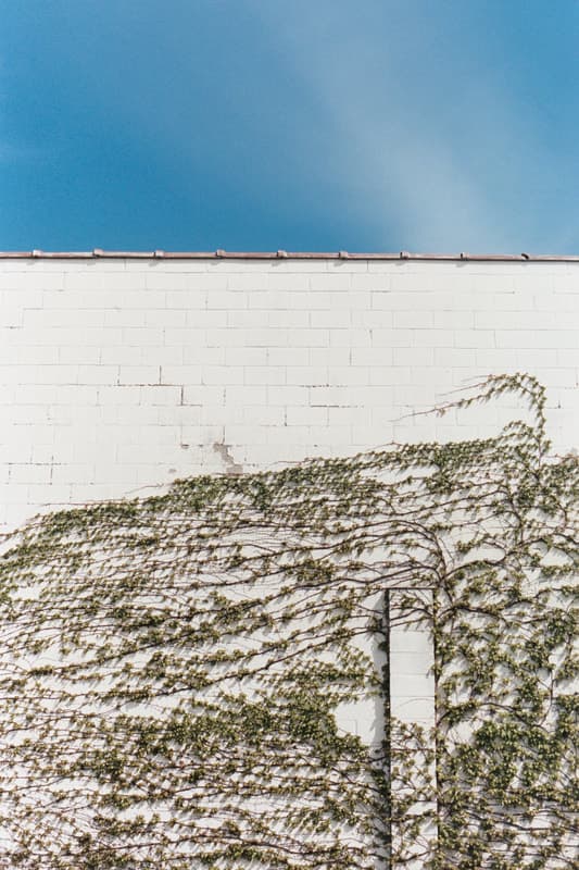 Film. 48