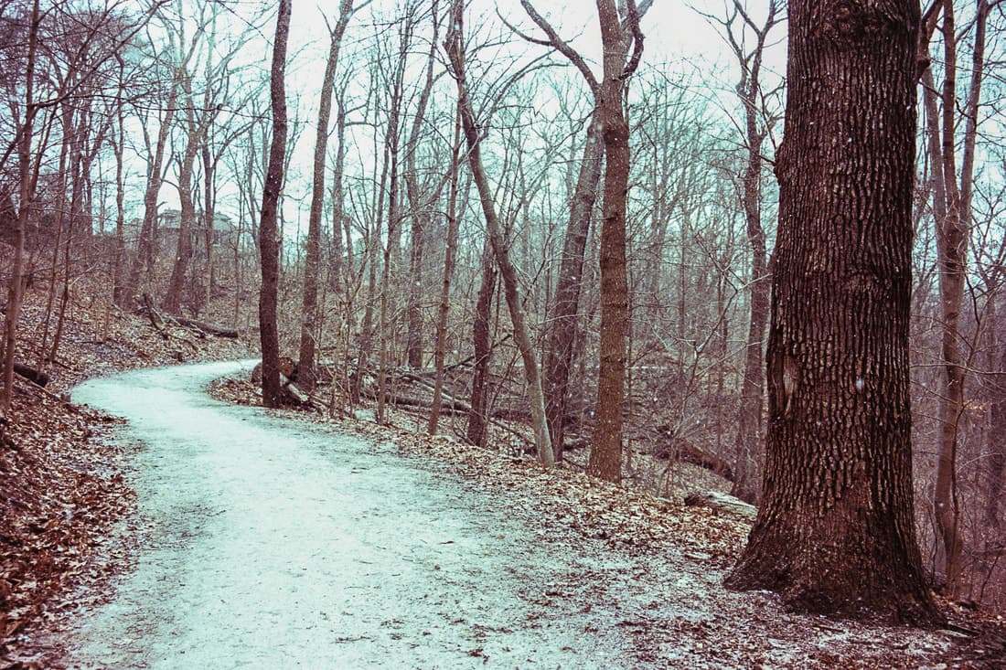 Film. 53