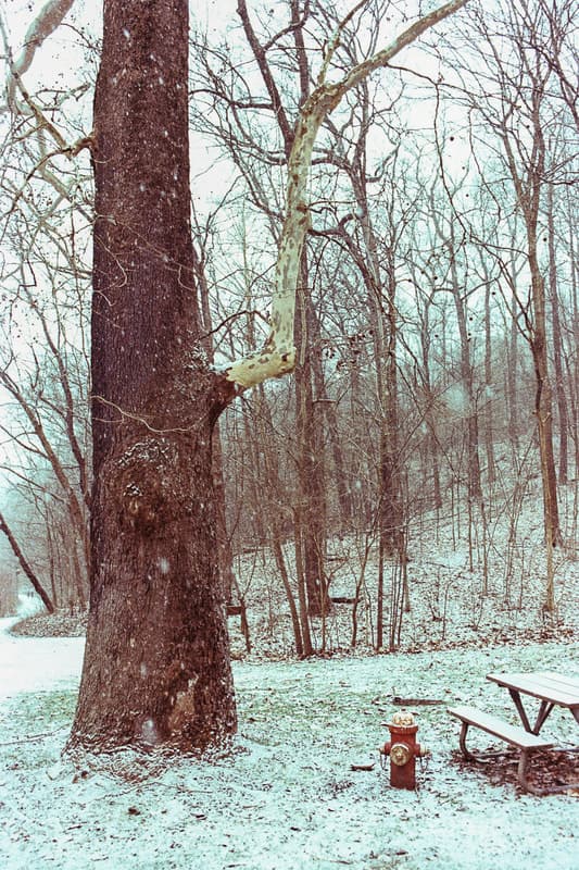 Film. 61