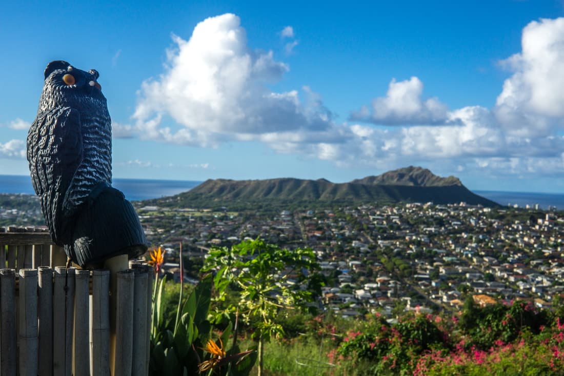 Hawaii. 15